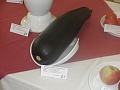 Obr: 5827.jpg