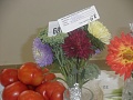 Obr: 5832.jpg