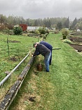 Obr: 47806.jpg