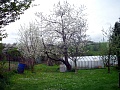 Obr: 11015.jpg