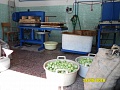 Obr: 29089.jpg