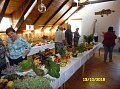 Obr: 29111.jpg