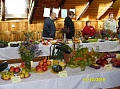 Obr: 29113.jpg