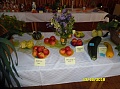 Obr: 29116.jpg
