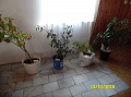 Obr: 29117.jpg