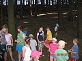Obr: 41056.jpg