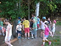 Obr: 41057.jpg