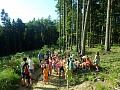 Obr: 41073.jpg