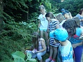 Obr: 41075.jpg