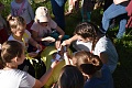 Obr: 41088.jpg