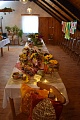 Obr: 41170.jpg