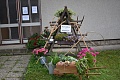 Obr: 41240.jpg
