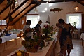 Obr: 41242.jpg