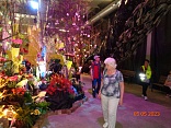 Obr: 42174.jpg