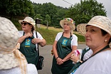 Obr: 42459.jpg