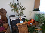 Obr: 42987.jpg