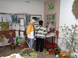 Obr: 43084.jpg
