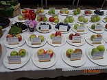 Obr: 43085.jpg