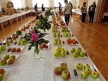 Obr: 43090.jpg