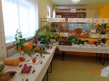 Obr: 43094.jpg