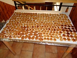 Obr: 43532.jpg