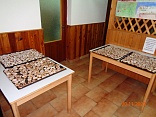 Obr: 43537.jpg