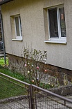 Obr: 44339.jpg