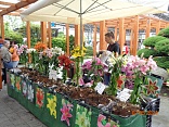 Obr: 44736.jpg