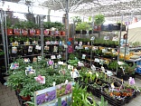 Obr: 44737.jpg