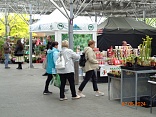 Obr: 44738.jpg