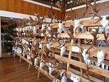 Obr: 45001.jpg