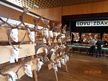 Obr: 45002.jpg