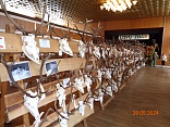 Obr: 45006.jpg
