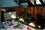 Obr: 45285.jpg