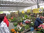 Obr: 48261.jpg