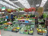 Obr: 48264.jpg