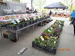 Obr: 48265.jpg