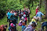 Obr: 48454.jpg