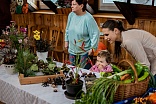 Obr: 49579.jpg