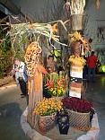 Obr: 52197.jpg