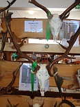 Obr: 52203.jpg