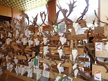 Obr: 52204.jpg