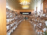 Obr: 52206.jpg