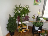 Obr: 53387.jpg