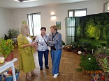 Obr: 53388.jpg