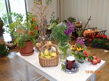 Obr: 53390.jpg