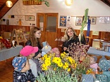 Obr: 53391.jpg