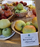 Obr: 3028.jpg