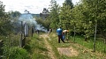 Obr: 10262.jpg