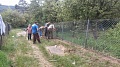 Obr: 10264.jpg